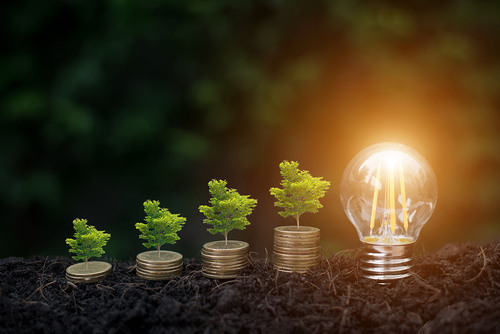 Tarokmew / stock.adobe.com