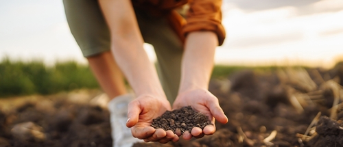 maxbelchenko / stock.adobe.com